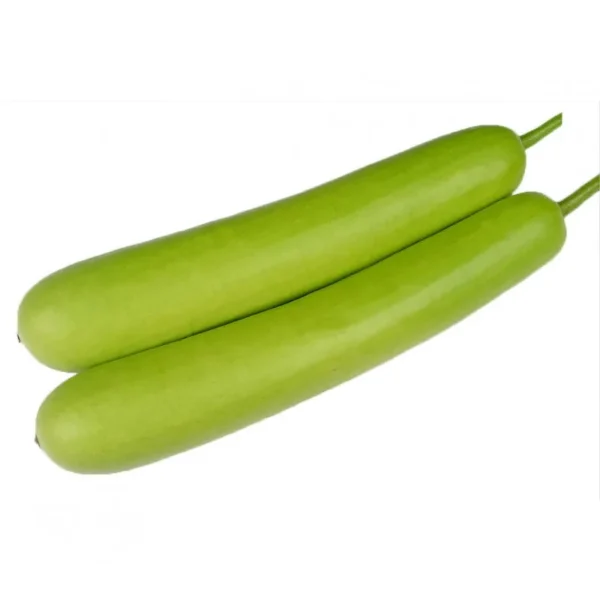 Bottle Gourd ( Long Dudhi)