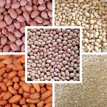 Oil Seeds