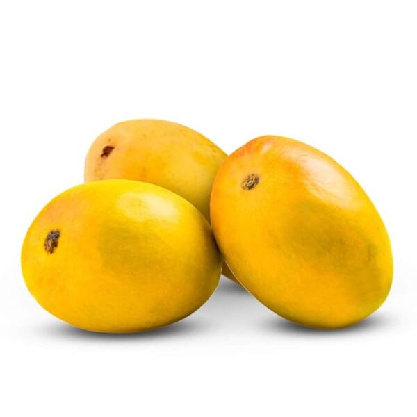 PAYARI MANGO