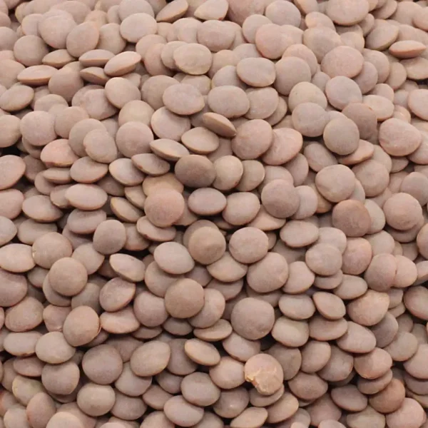 Whole Masoor