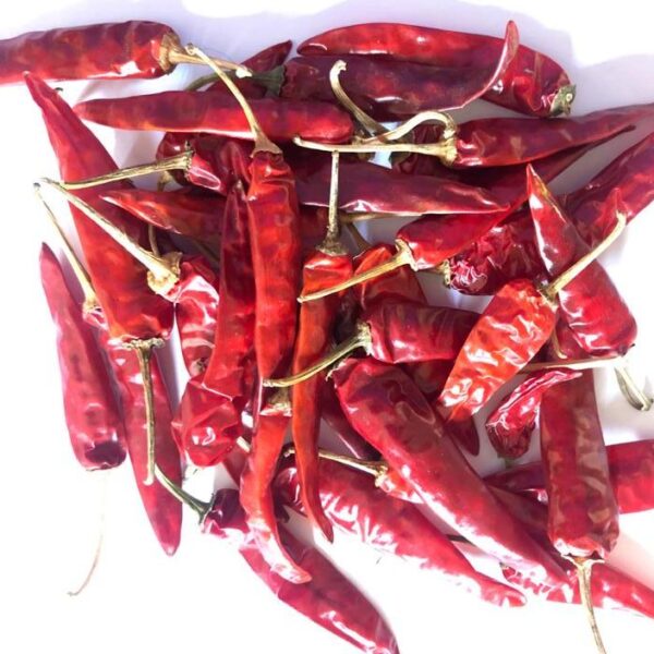 Dry Red Chilli