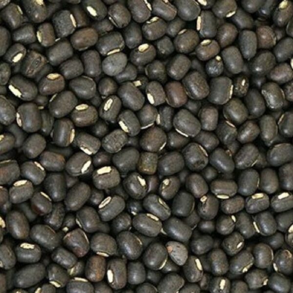 Whole Black Urad