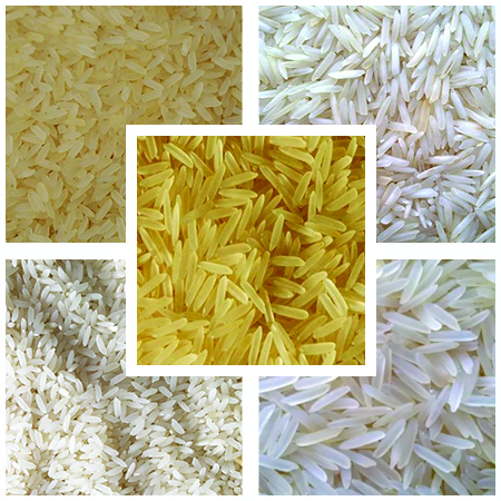 Rice